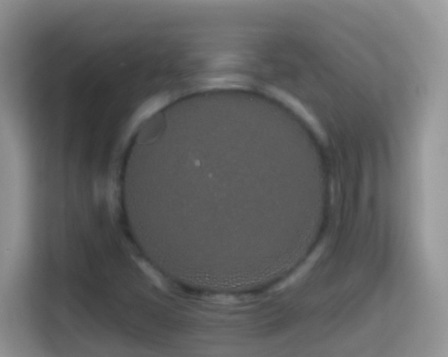 X0000114201405200910091243