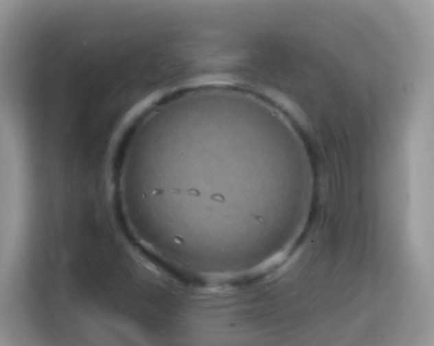 X0000114201406200910091243