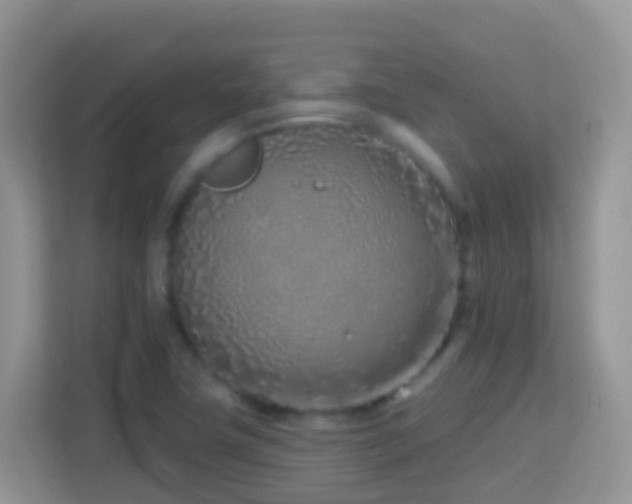 X0000114201411200910091243