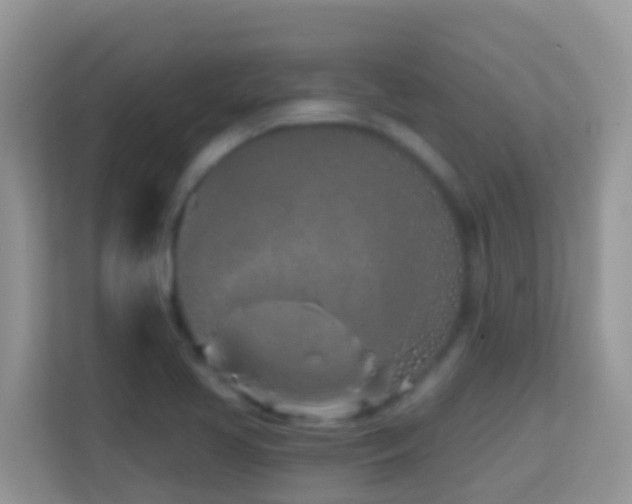 X0000114201413200910091243