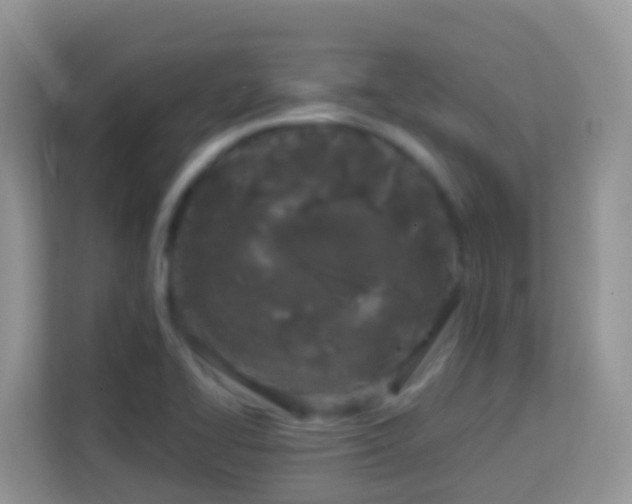 X0000114201414200910091243