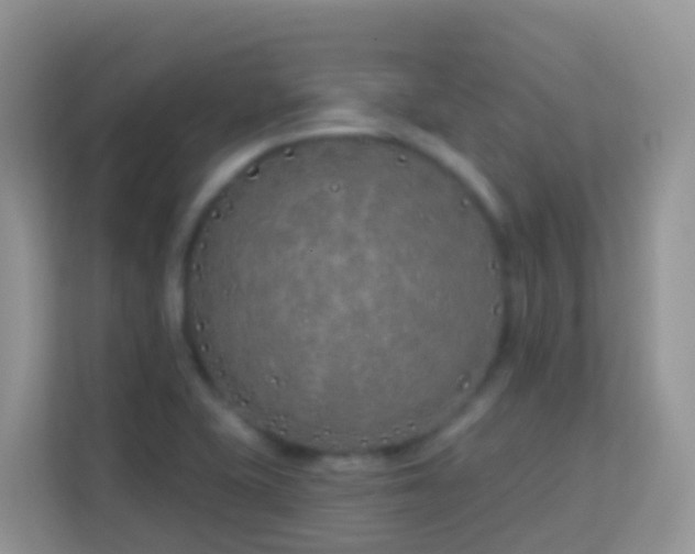 X0000114201415200910091243