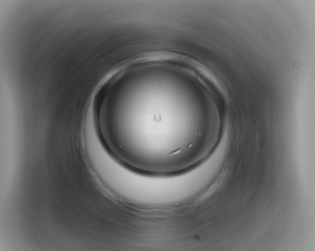 X0000114201417200910091243