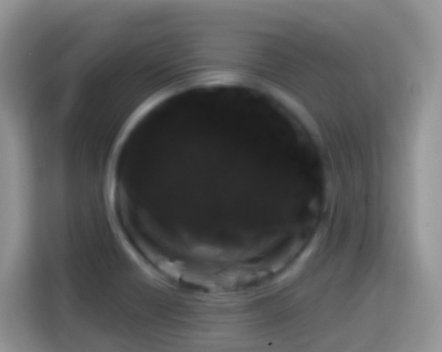 X0000114201418200910091243
