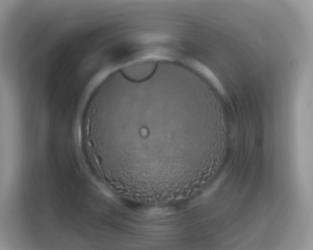 X0000114201419200910091243