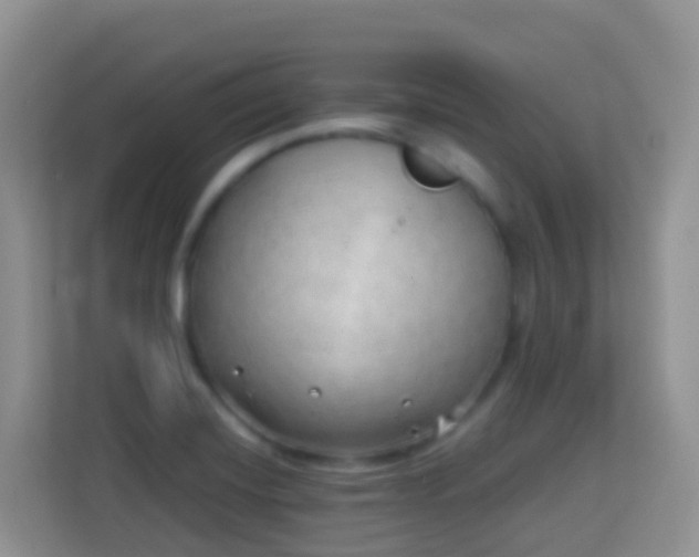 X0000114201420200910091243