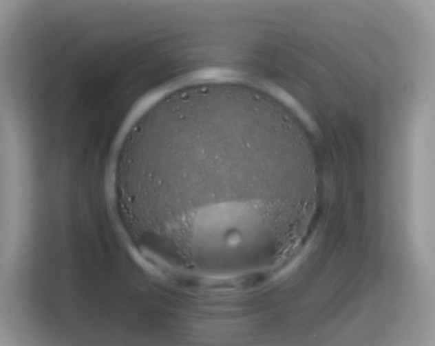X0000114201421200910091243