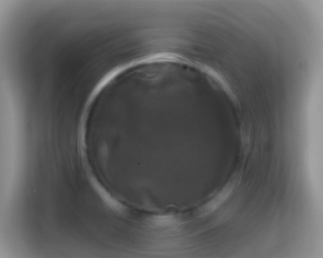 X0000114201422200910091243
