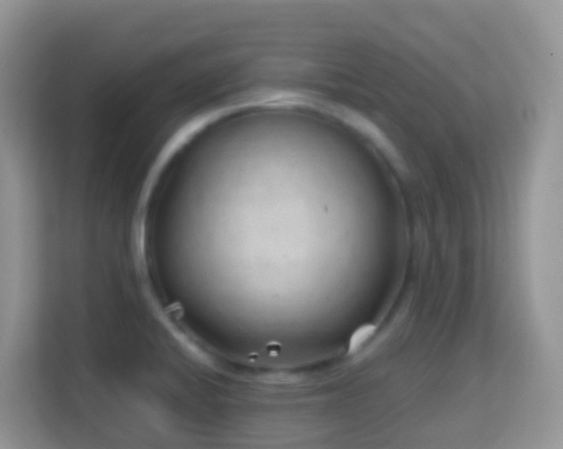 X0000114201424200910091243