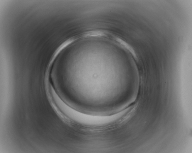 X0000114201426200910091243
