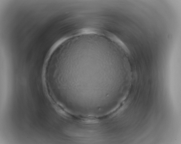 X0000114201427200910091243