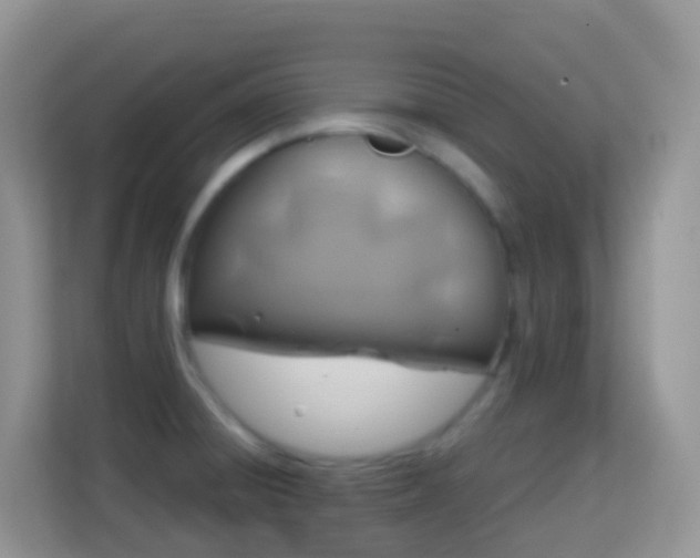 X0000114201428200910091243