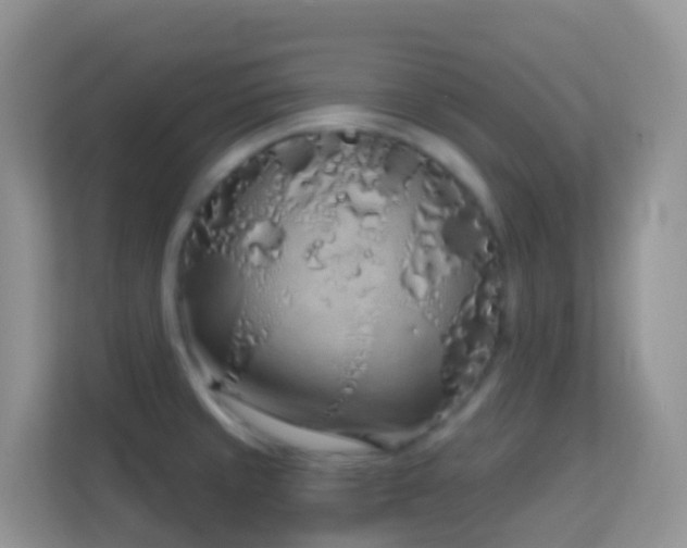 X0000114201429200910091243