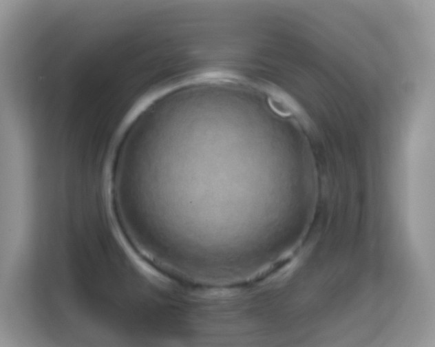 X0000114201430200910091243