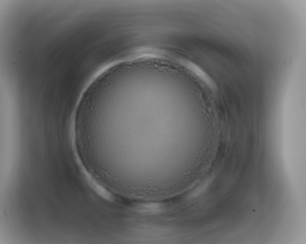 X0000114201431200910091243
