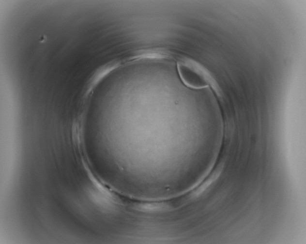 X0000114201433200910091243