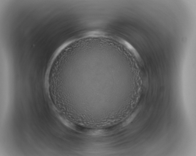 X0000114201435200910091243