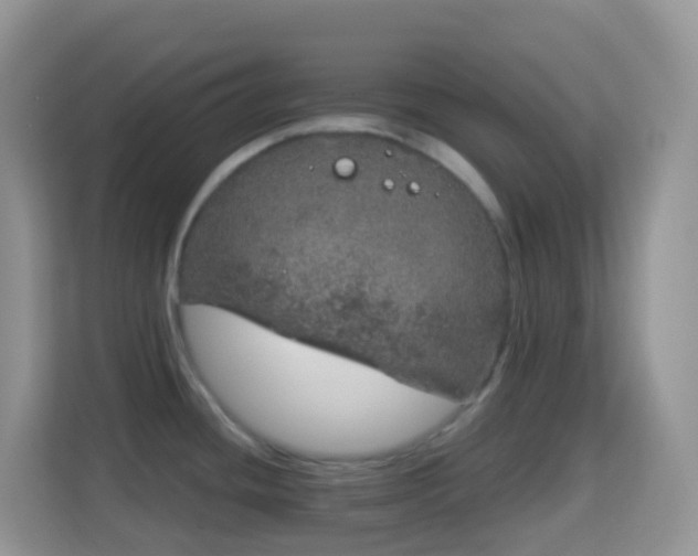 X0000114201436200910091244