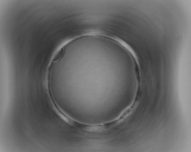 X0000114201437200910091244