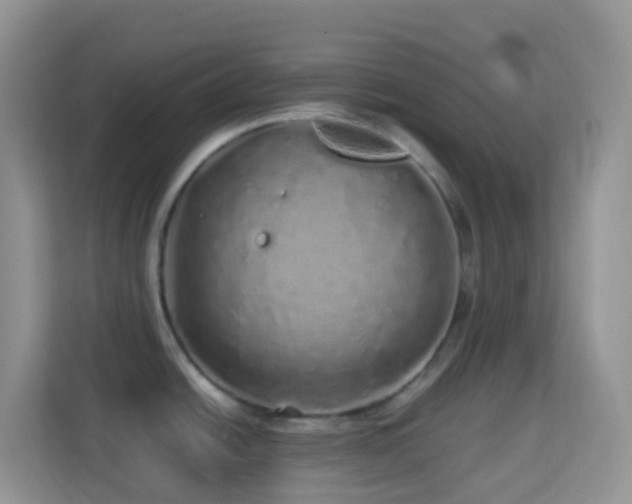 X0000114201438200910091244