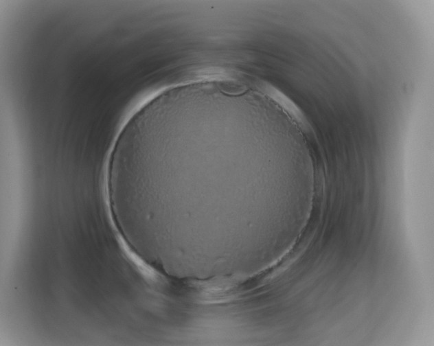 X0000114201439200910091244