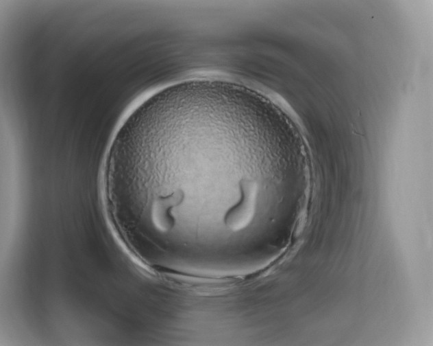 X0000114201440200910091244