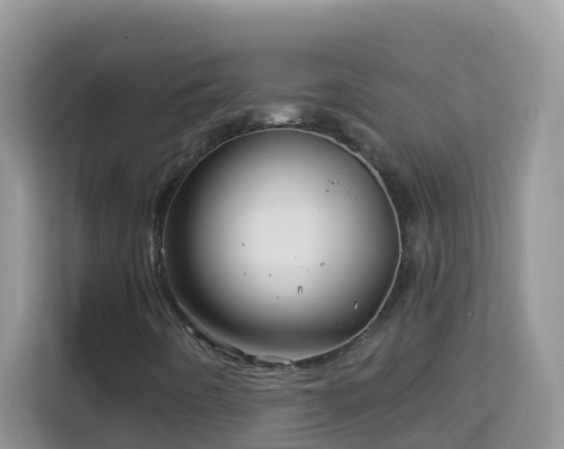 X0000114201442200910091243