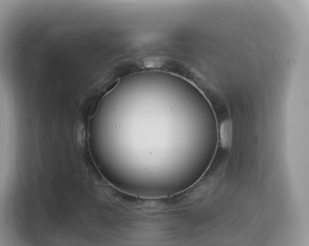 X0000114201443200910091243