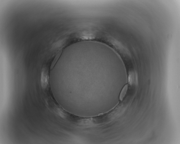 X0000114201444200910091243