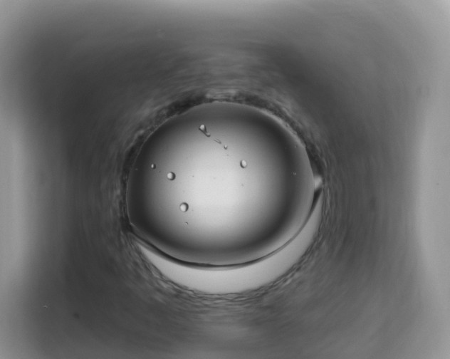 X0000114201445200910091243