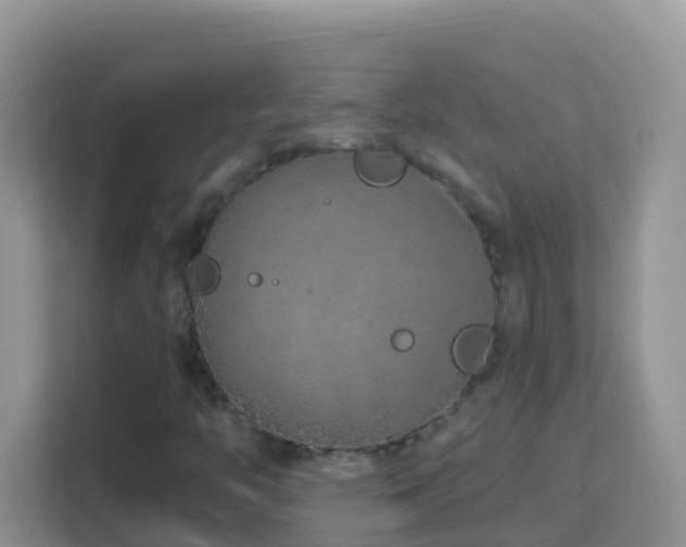 X0000114201446200910091243