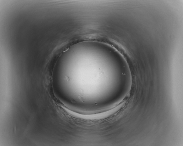 X0000114201447200910091243