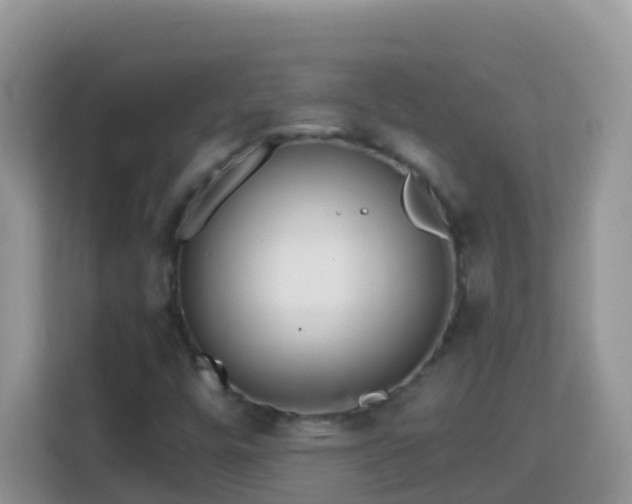 X0000114201448200910091243