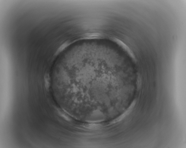 X0000114201449200910091243