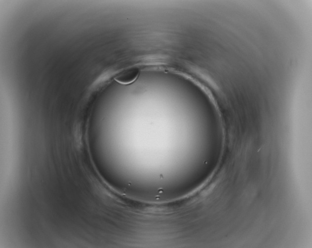 X0000114201451200910091243