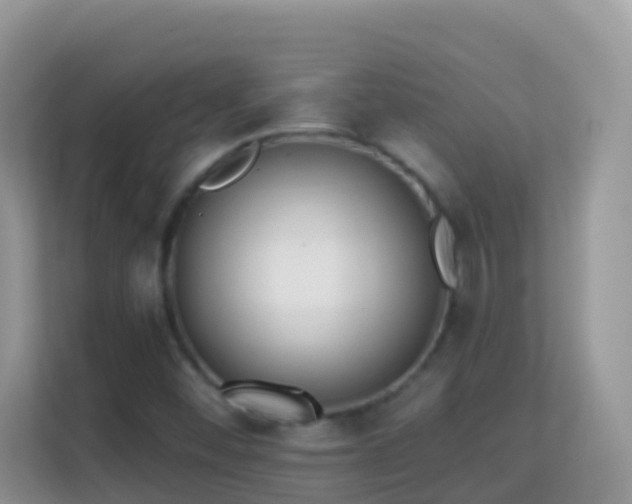 X0000114201452200910091243
