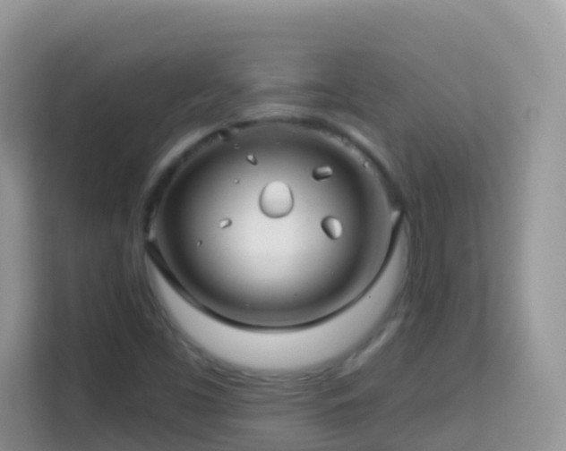 X0000114201453200910091243