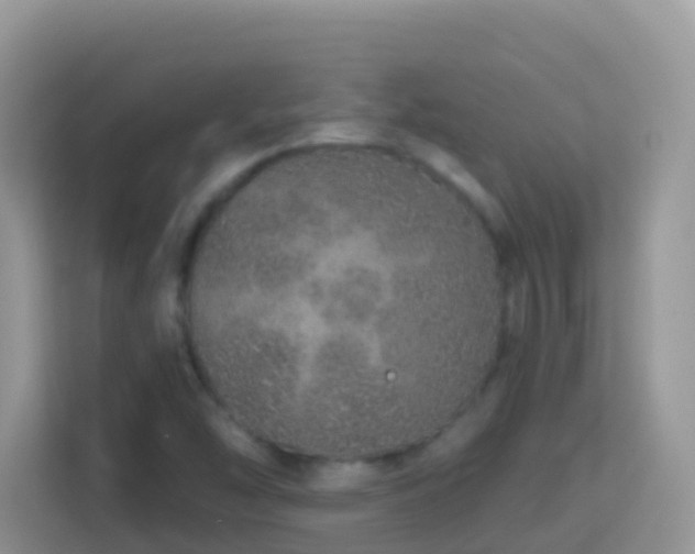 X0000114201454200910091243