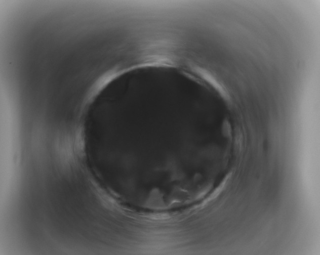 X0000114201455200910091243