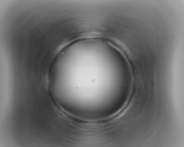 X0000114201457200910091243