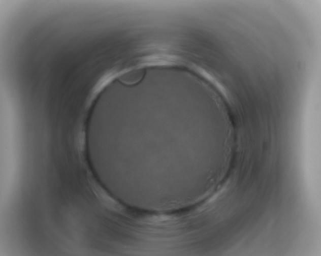 X0000114201459200910091243