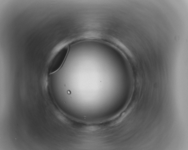 X0000114201461200910091243