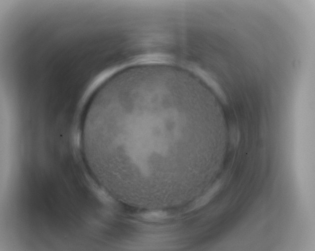 X0000114201462200910091243