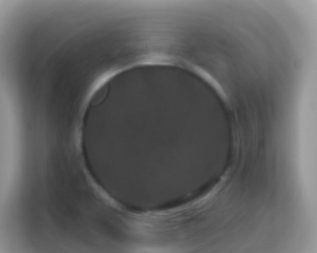 X0000114201463200910091243