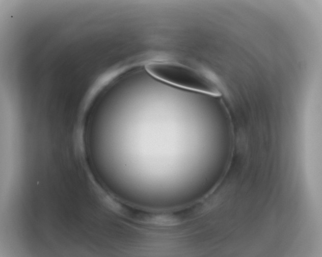 X0000114201464200910091243