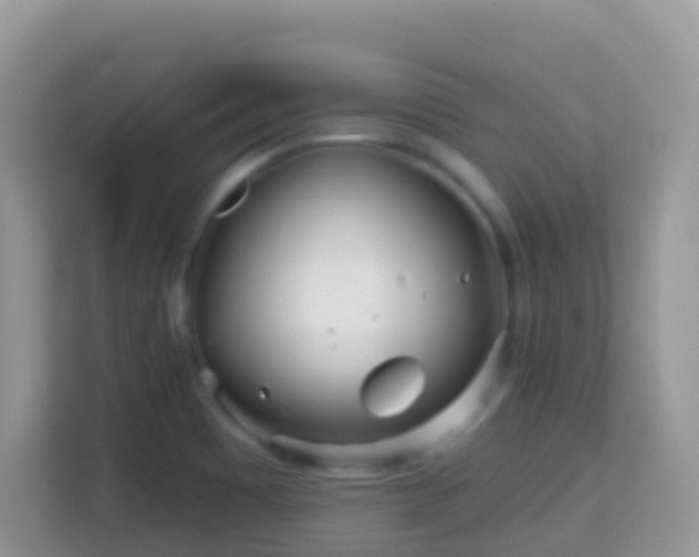 X0000114201465200910091243