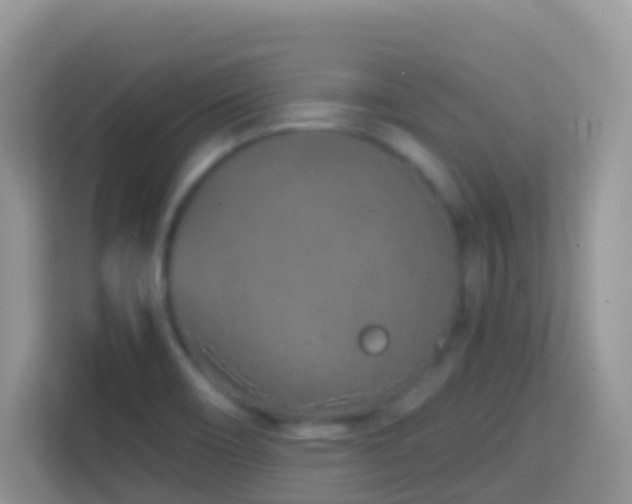 X0000114201466200910091243