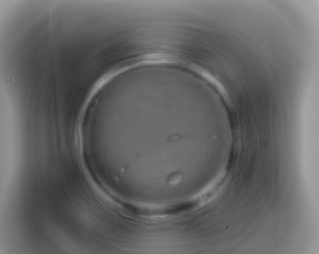X0000114201467200910091243