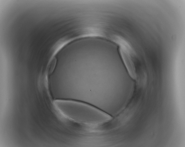 X0000114201468200910091243