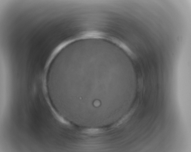 X0000114201470200910091243